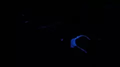 Abspielen Scarlett Johnsons intensive Schwarzlicht-Fetisch-Fantasie
